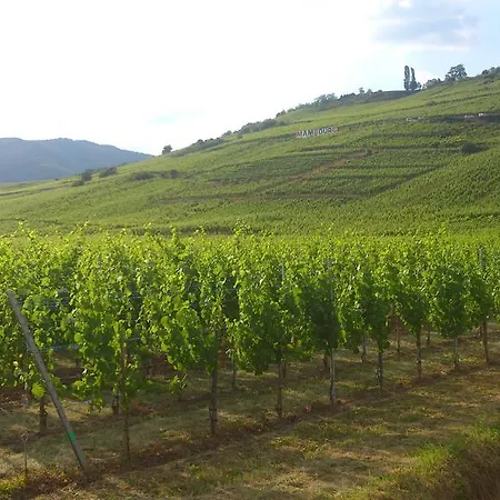 Victor Et Leontine Daire *